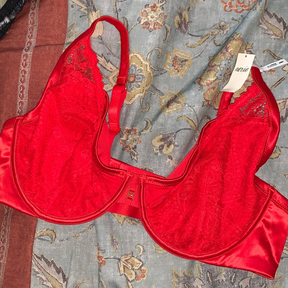 Aerie lace bralette